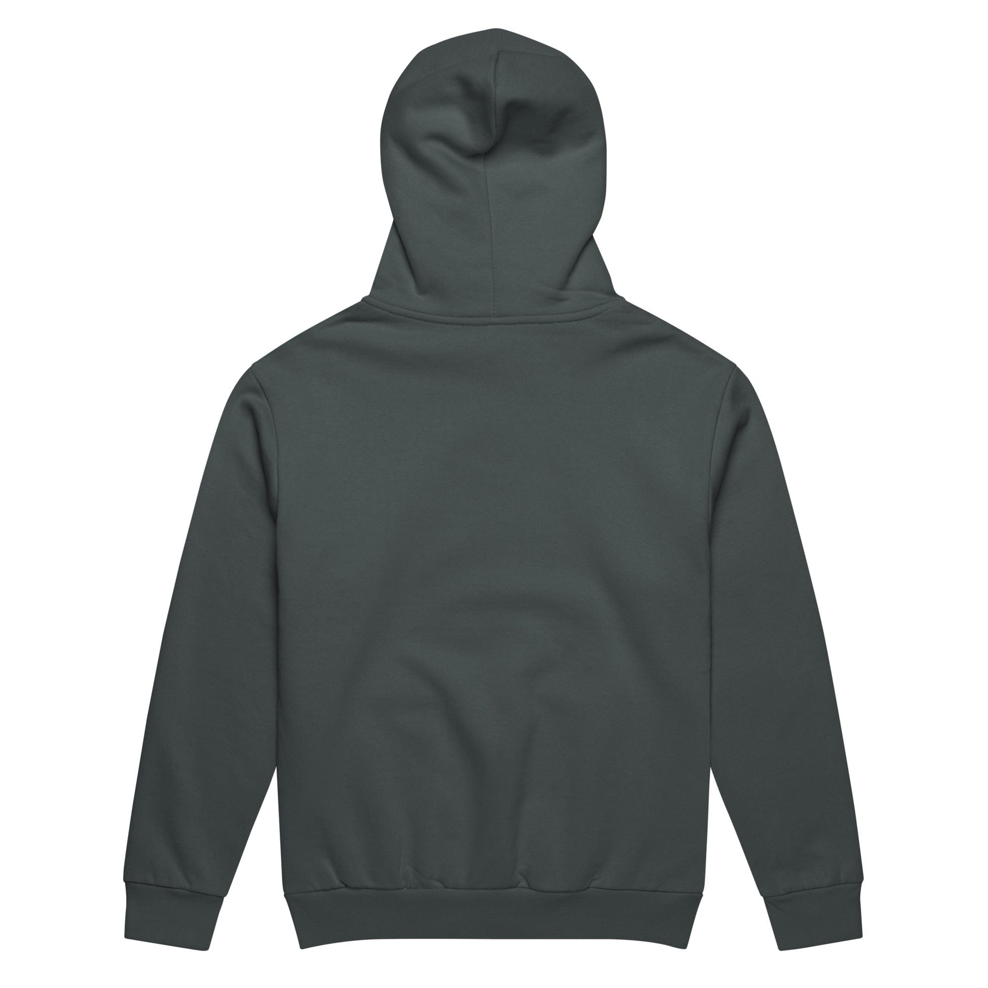 High Level Science HLS x Staple Midnight Hoodie showing front view with logo details and comfortable fit.
