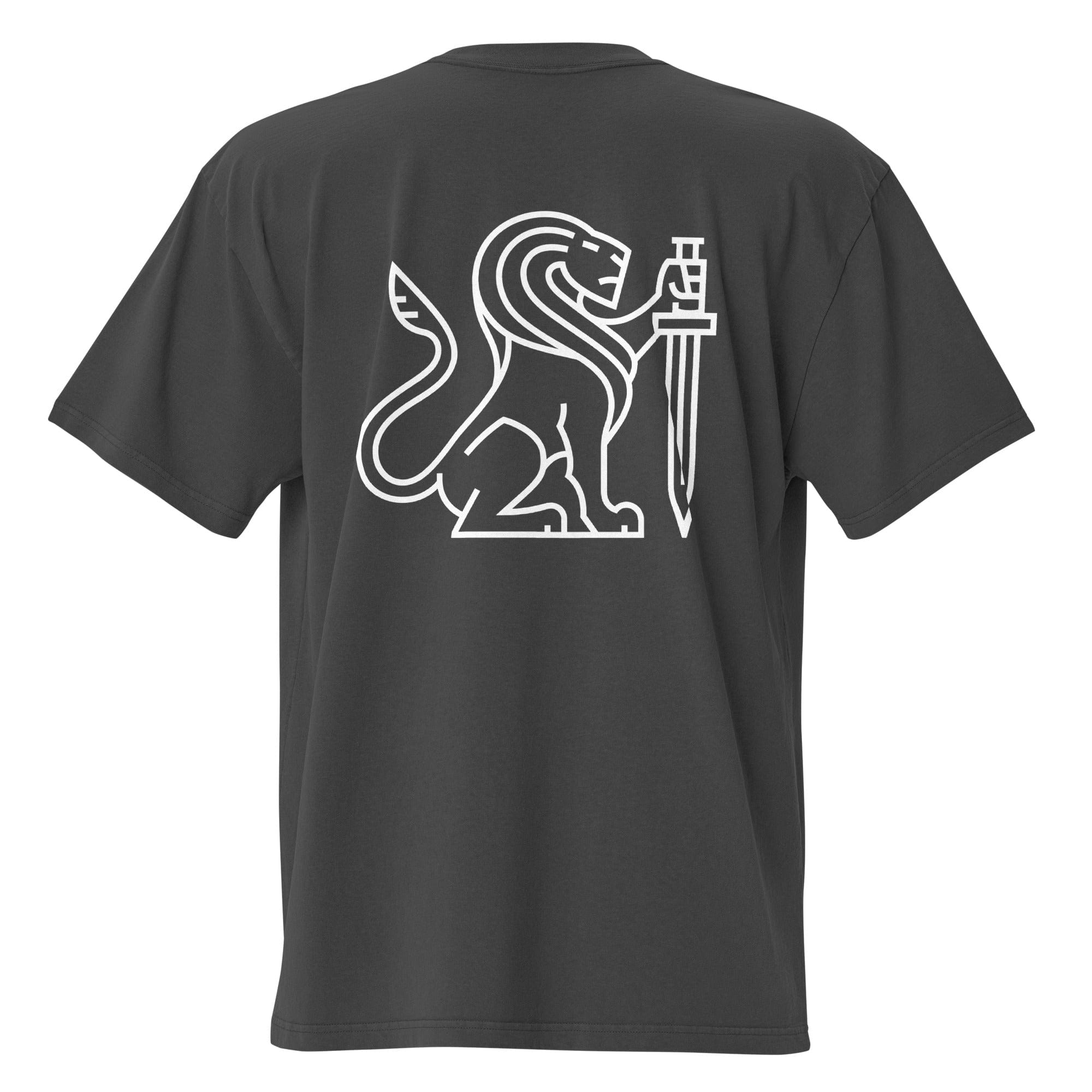 High Level Science HLS x Staple T-shirt in faded black, casual fit with graphic design on front, made from soft cotton fabric.